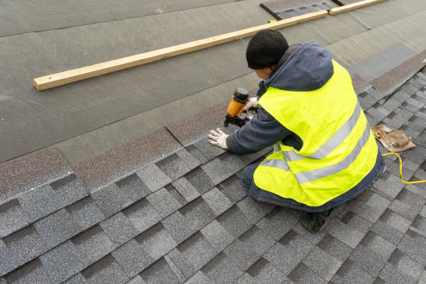Roof Gutter Cleaning in Ashland, IL