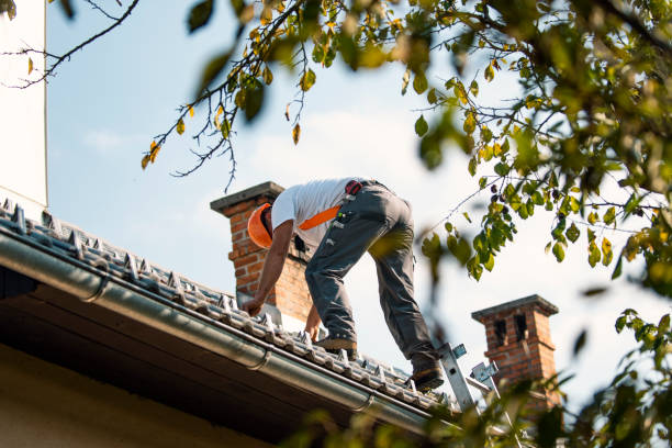 Gutter Installation and Roofing in Ashland, IL